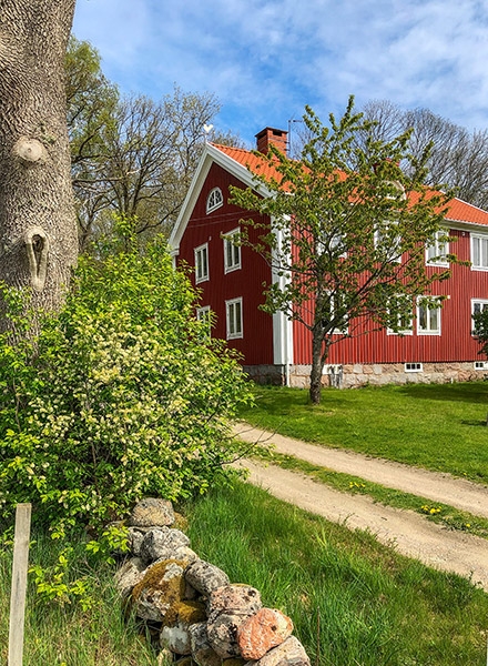 Team Olivia koncernen växer genom förvärv av Caremore